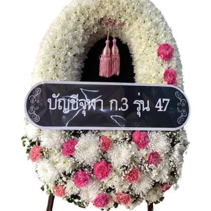 41