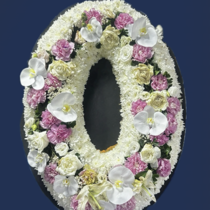 พร351-ฟาเลนขาว